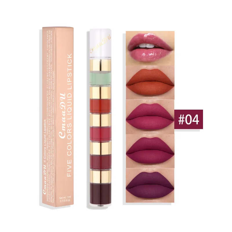 5 in 1 Matte Lipstick Set