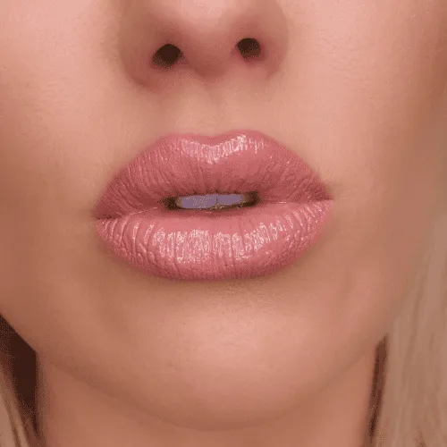 Fashionably Nude Lip Combo